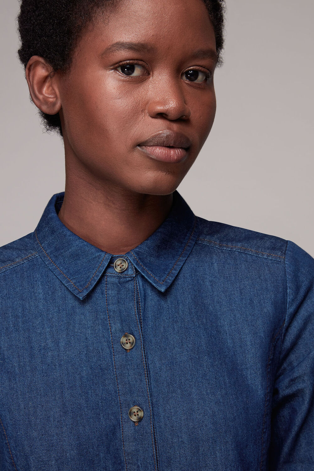 Chambray Dress