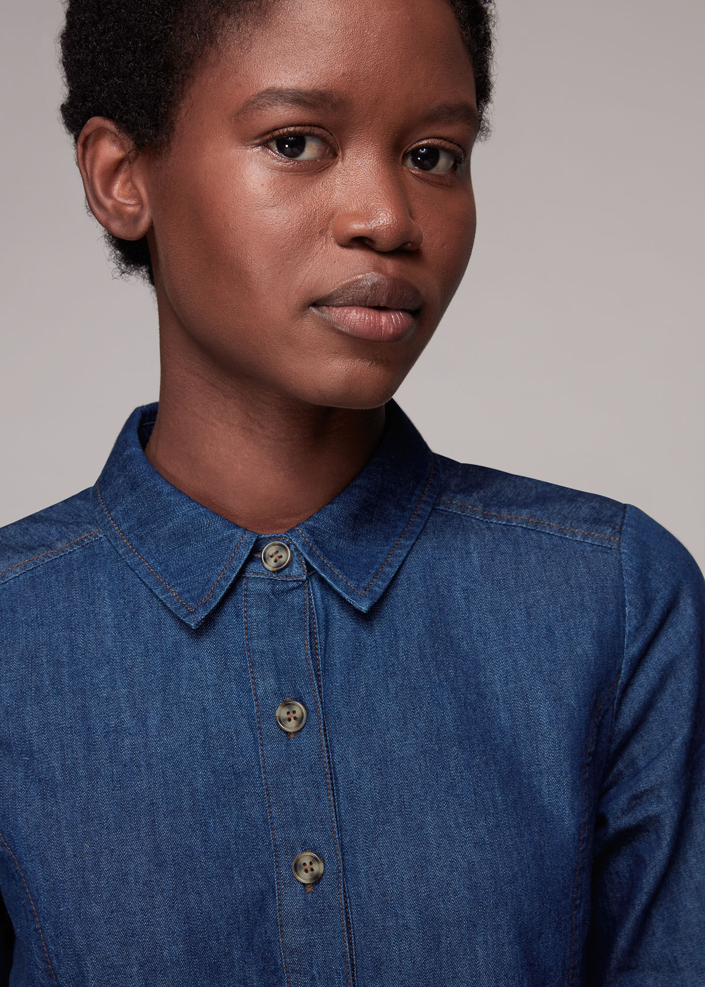 Dark Denim Chambray Dress WHISTLES Whistles