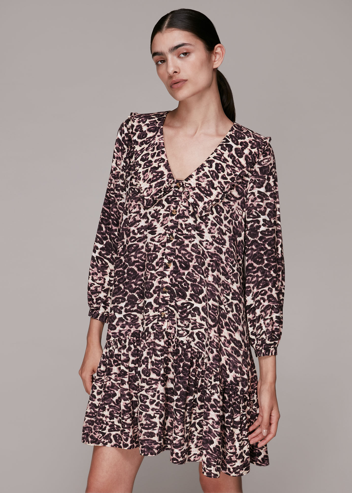 Leopard collar dress 2025