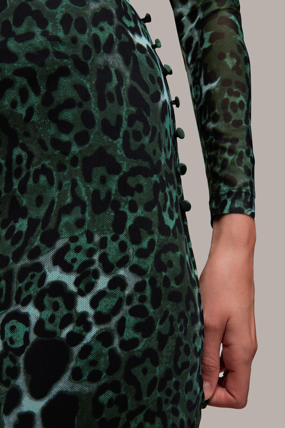 Night Cat Print Mesh Skirt