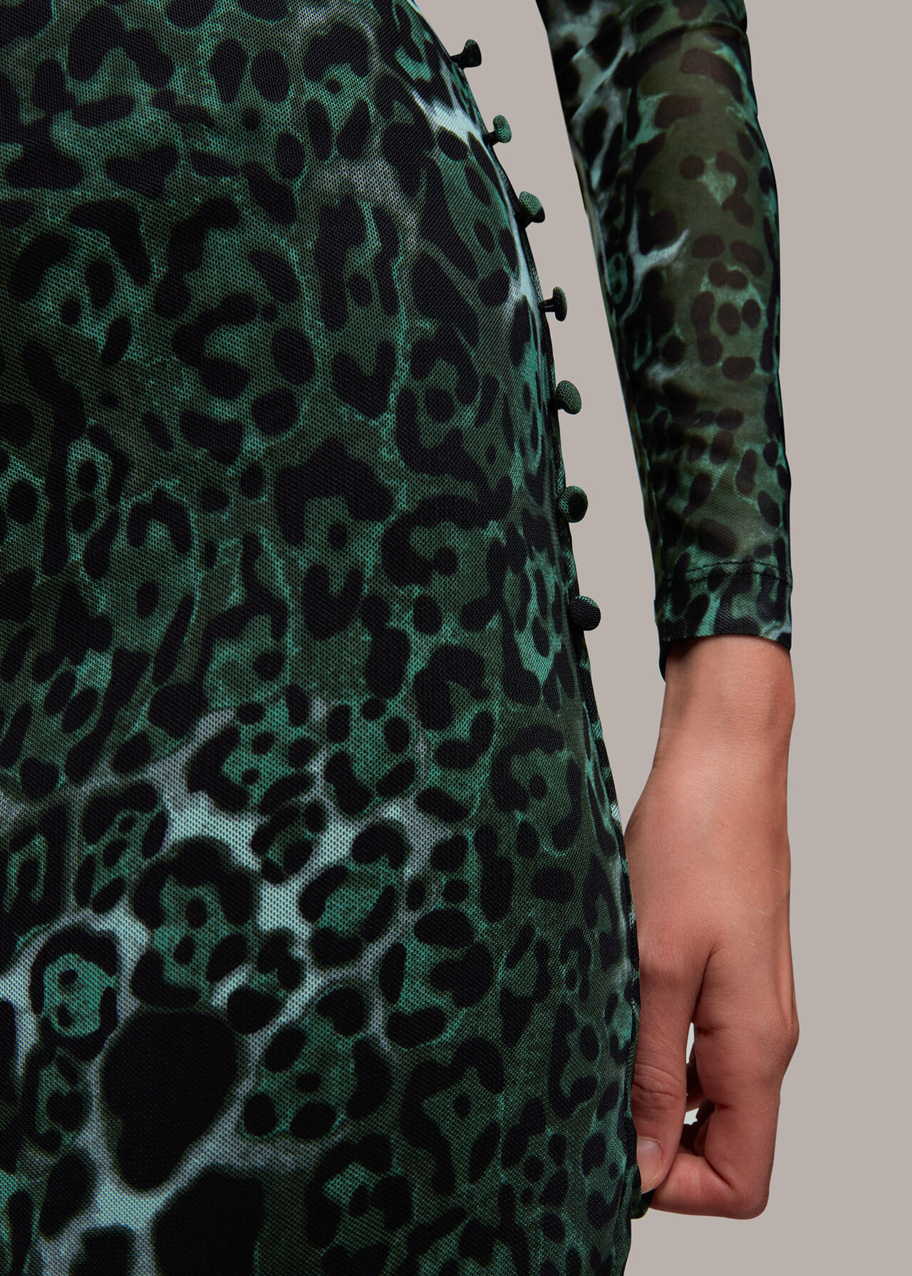 Night Cat Print Mesh Skirt