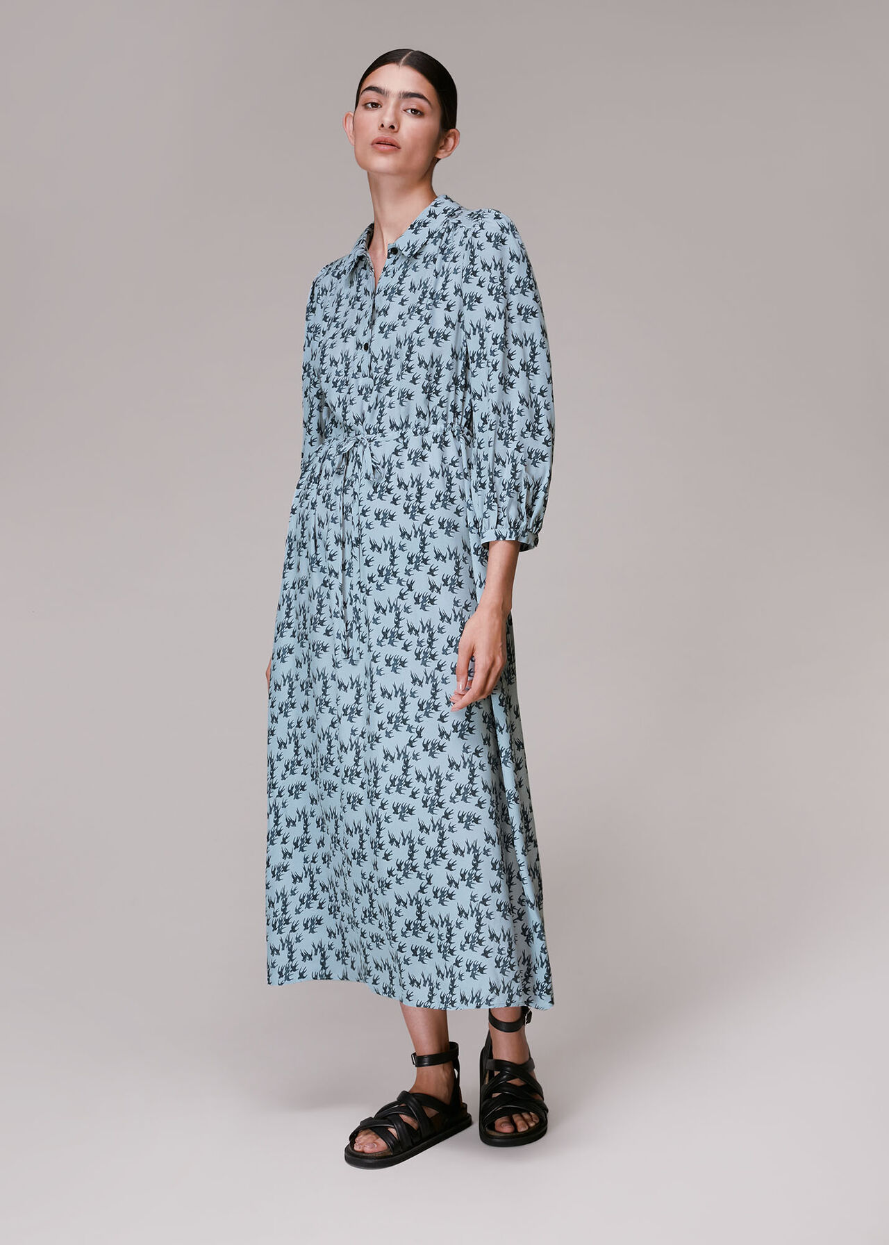 Blue/Multi Swallows Print Midi Dress | WHISTLES | Whistles UK