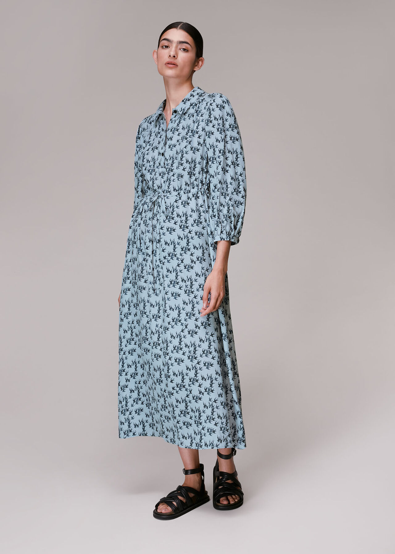 Swallows Print Midi Dress