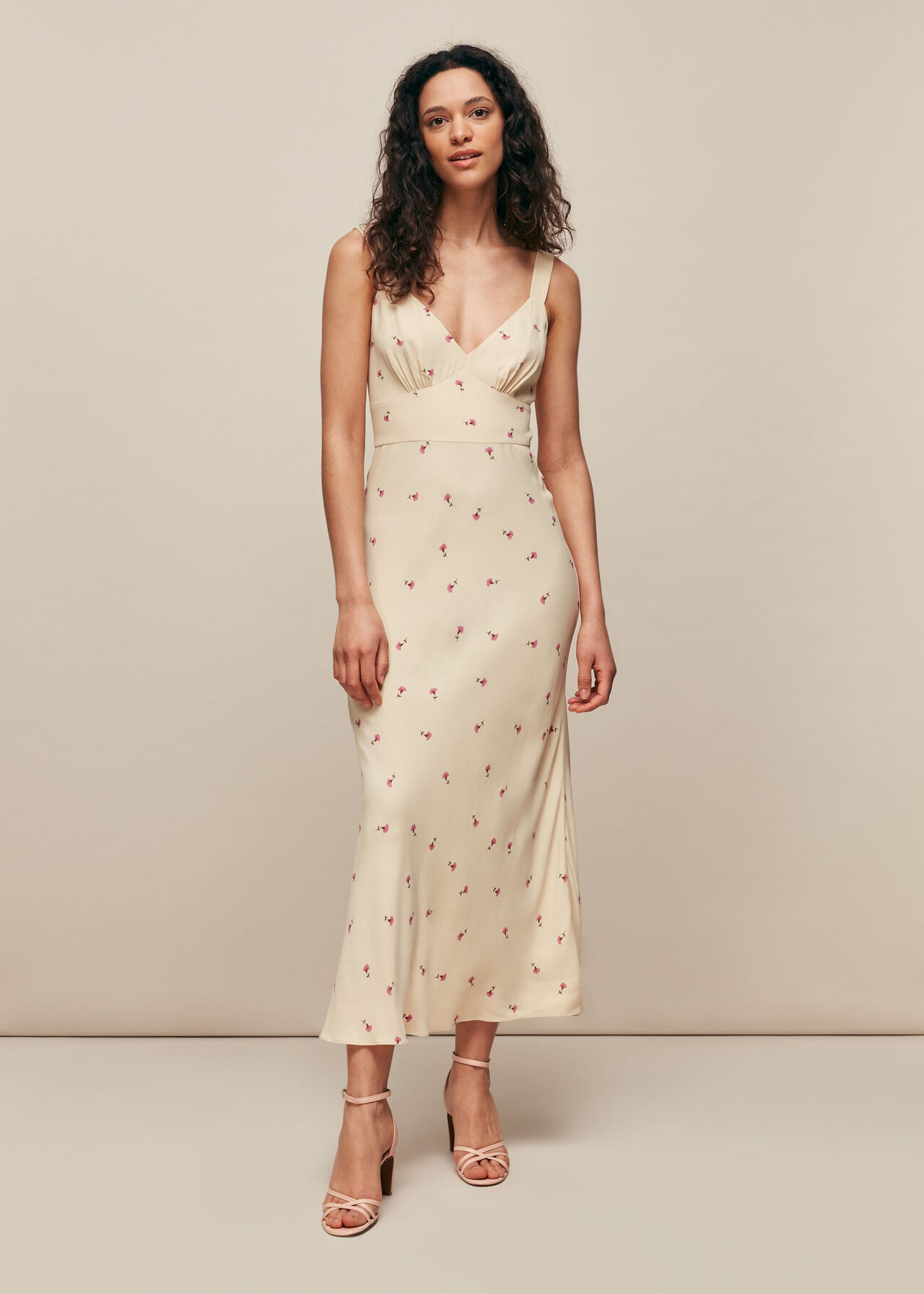 Multicolour Romantic Floral Rachael  Dress  WHISTLES 