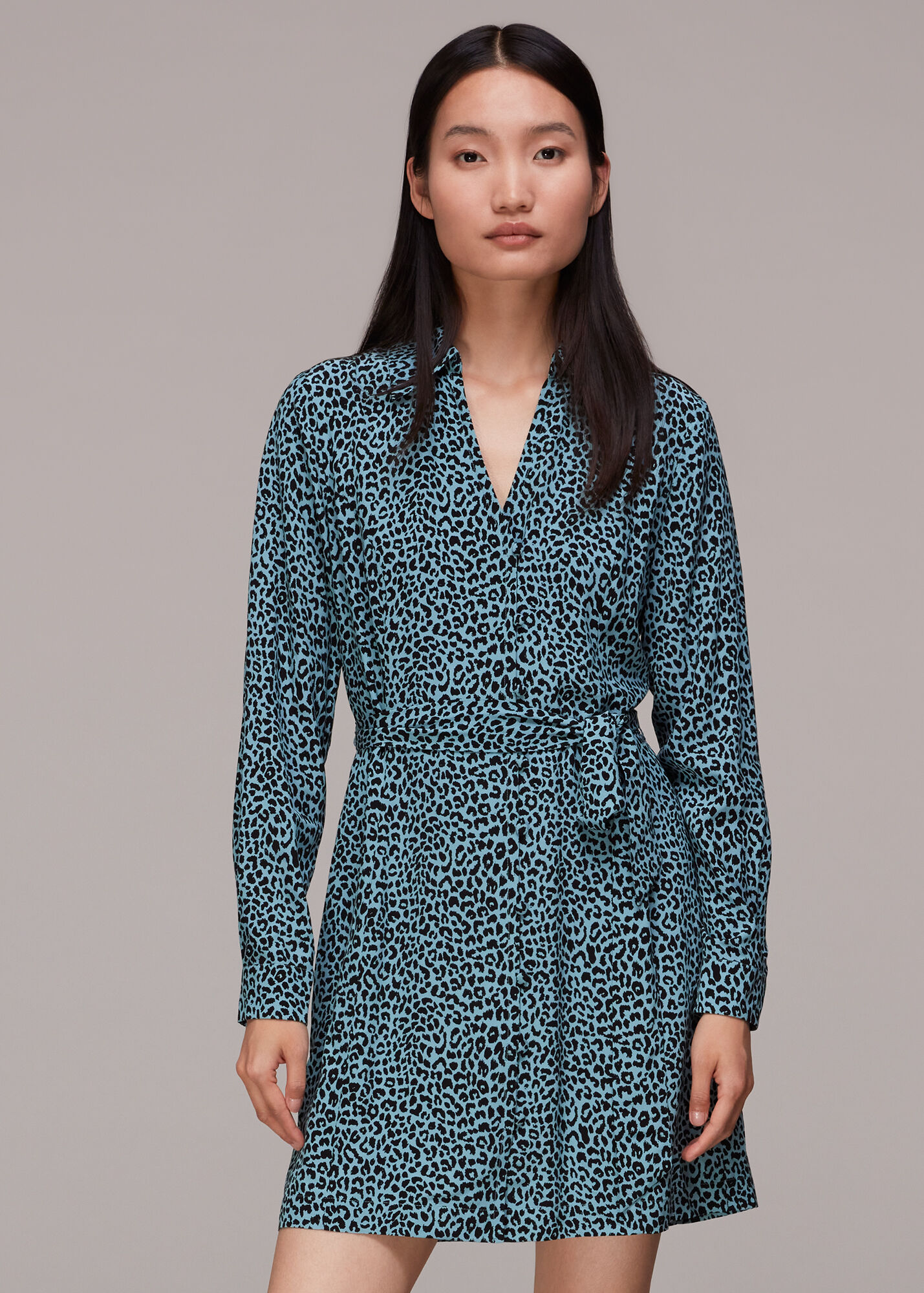 Blue/Multi Contrast Leopard Belted Dress WHISTLES