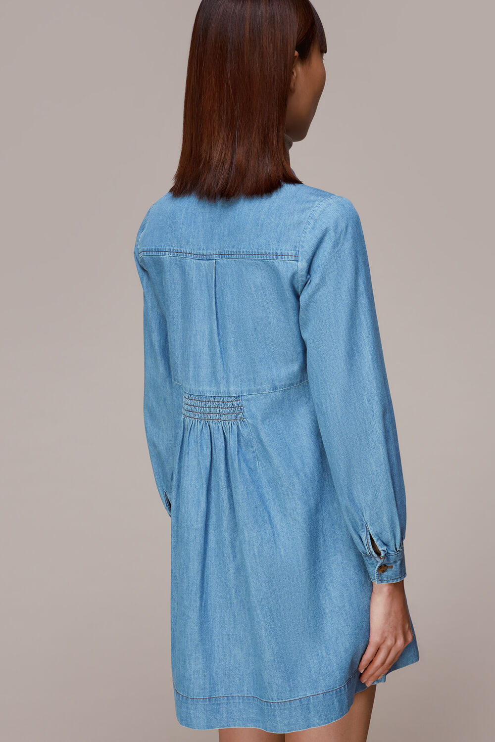Chambray Dress