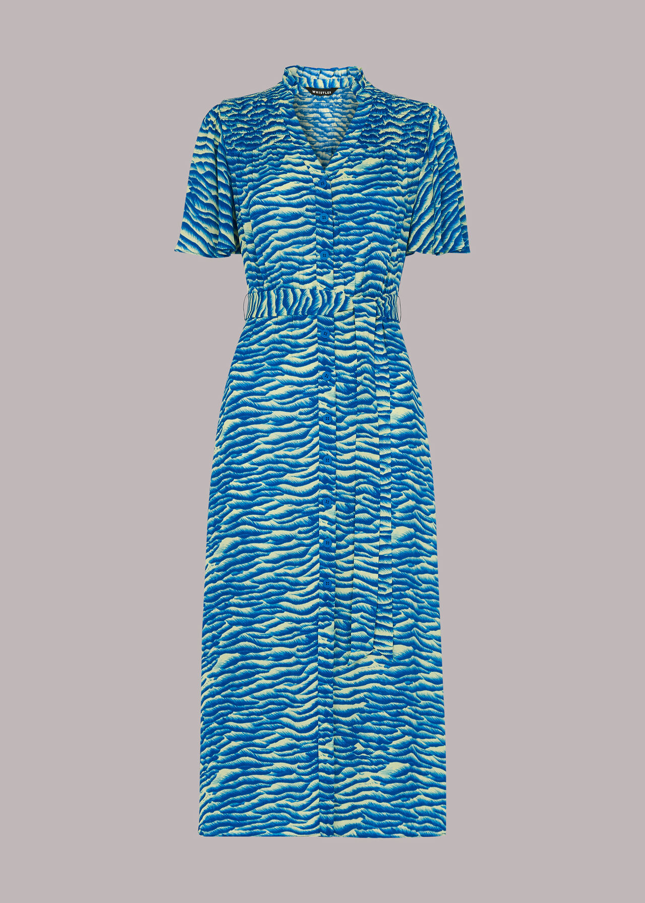 Seafoam Zebra Midi Dress