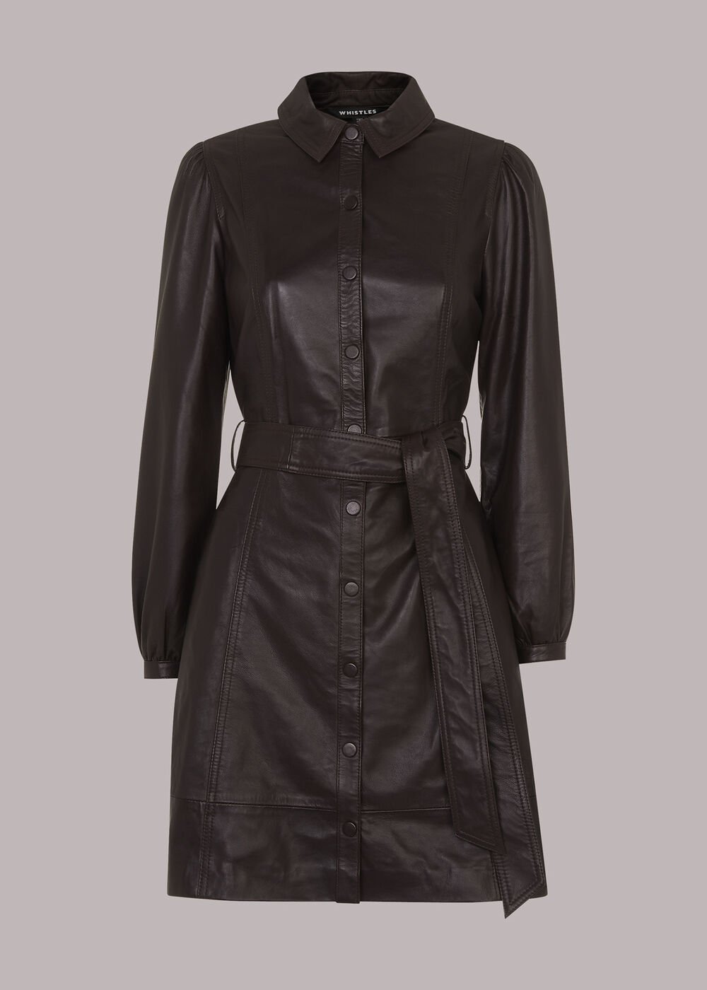 Phoebe Short Leather Dress