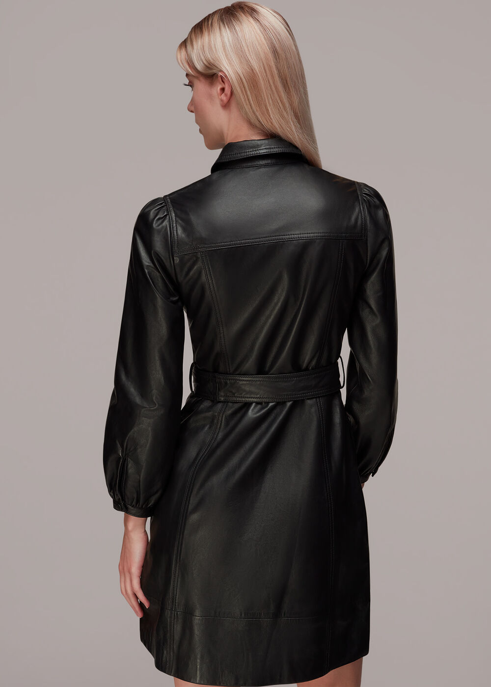 Phoebe Short Leather Dress