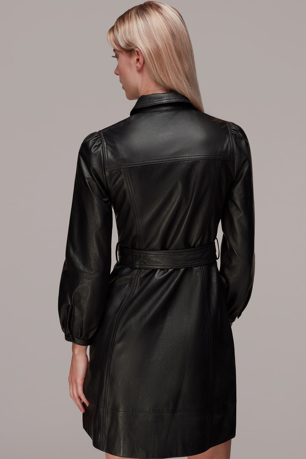 Phoebe Short Leather Dress