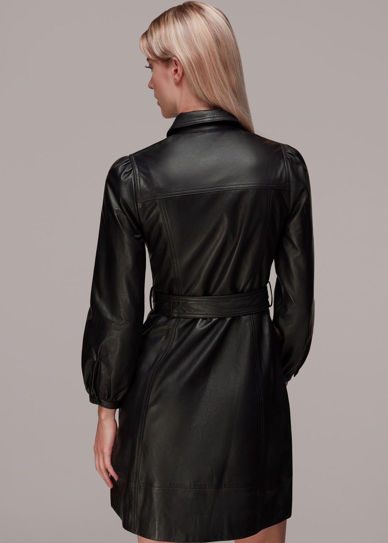 Phoebe Short Leather Dress