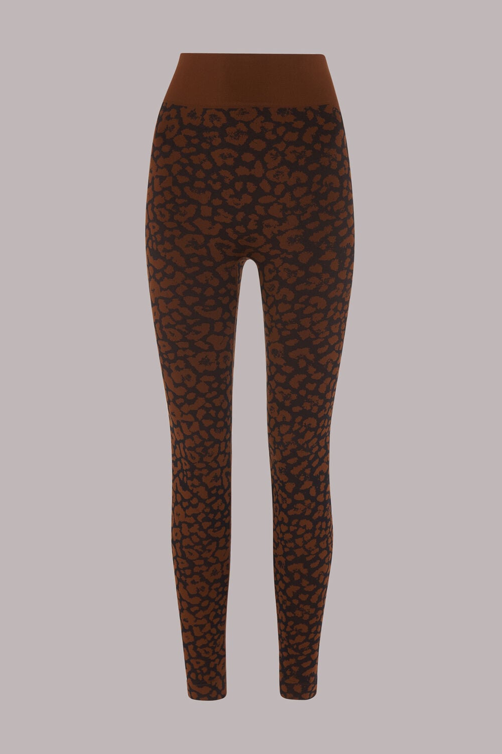 Animal Seamless Sports Legging