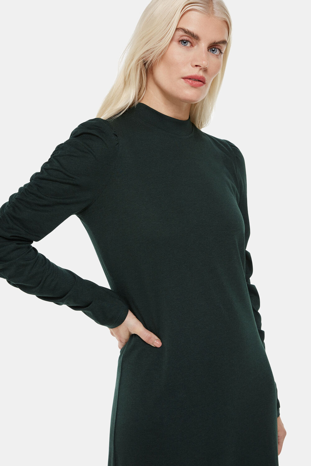 Petite Ruched Sleeve Jersey Dress