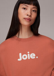 Joie Oversized Logo Sweatshirt