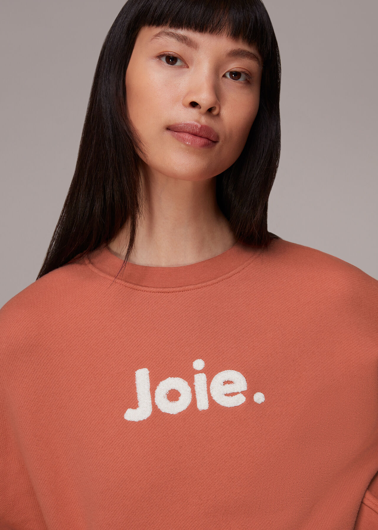 Joie Oversized Logo Sweatshirt