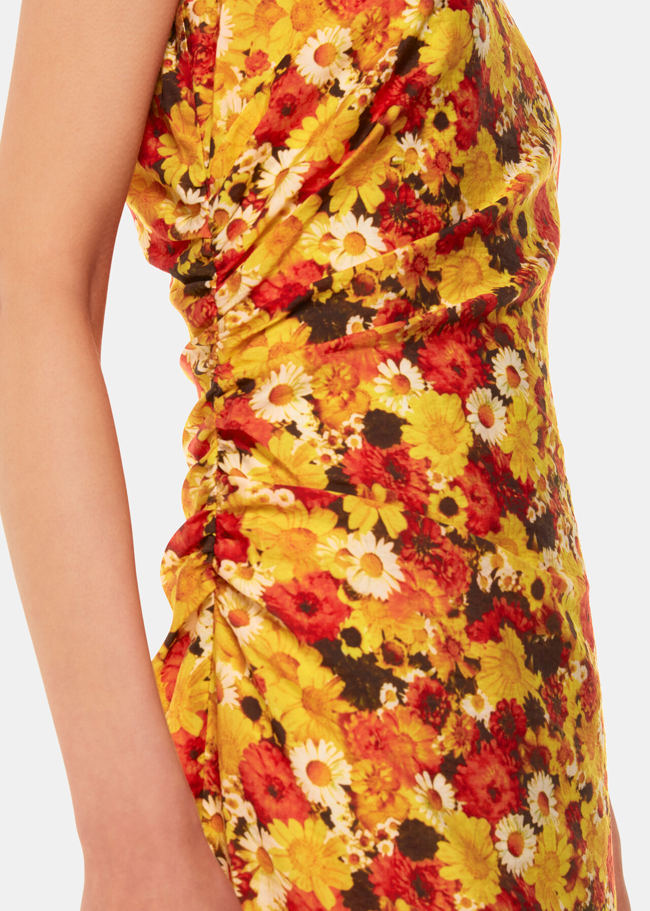 Photographic Daisy Midi Dress