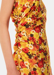 Photographic Daisy Midi Dress