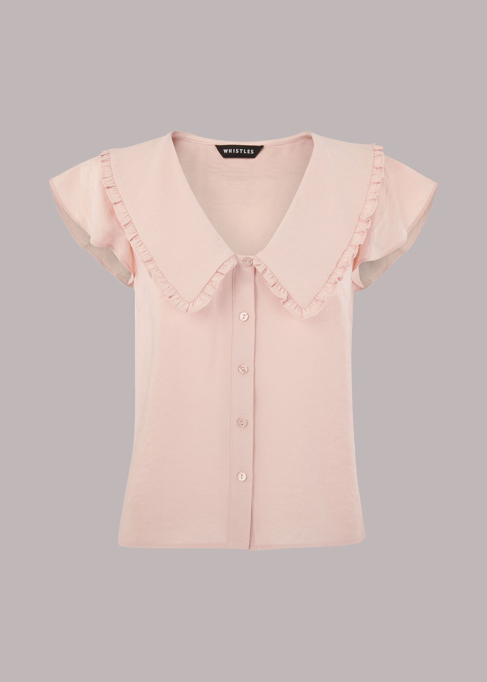 Short Sleeve Collar Top