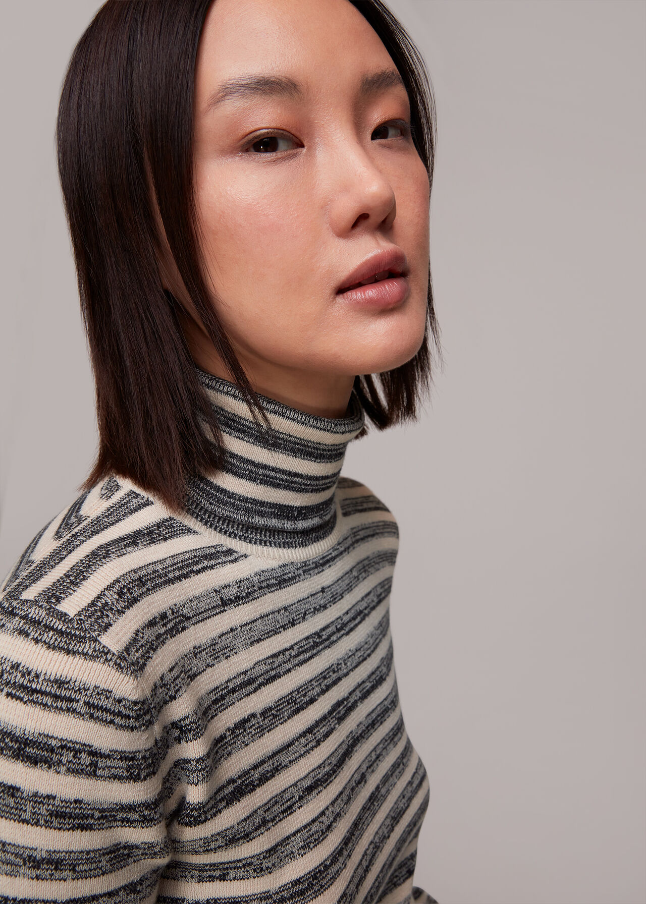Stripe Polo Neck Knit