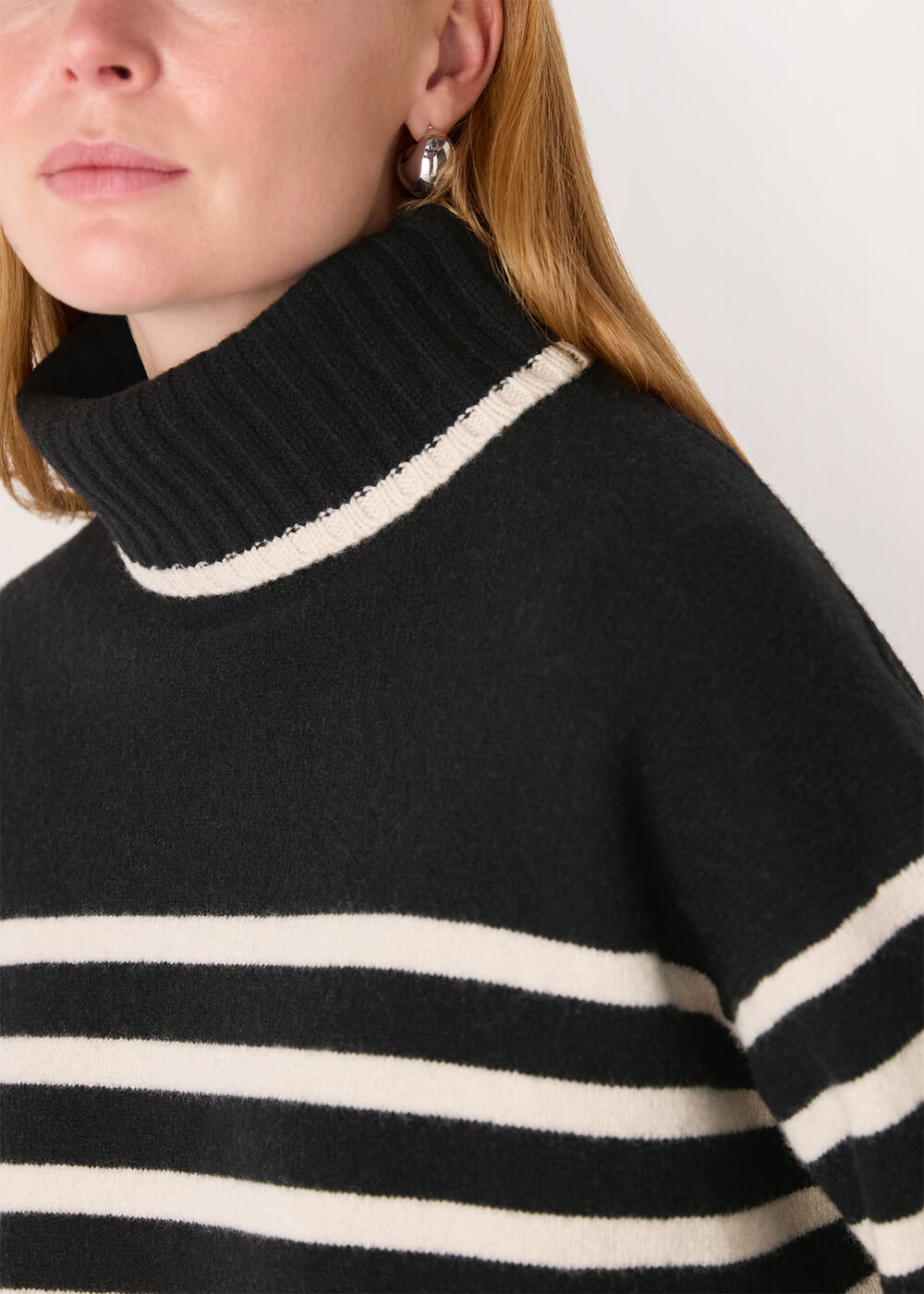 Stripe Wool Roll Neck