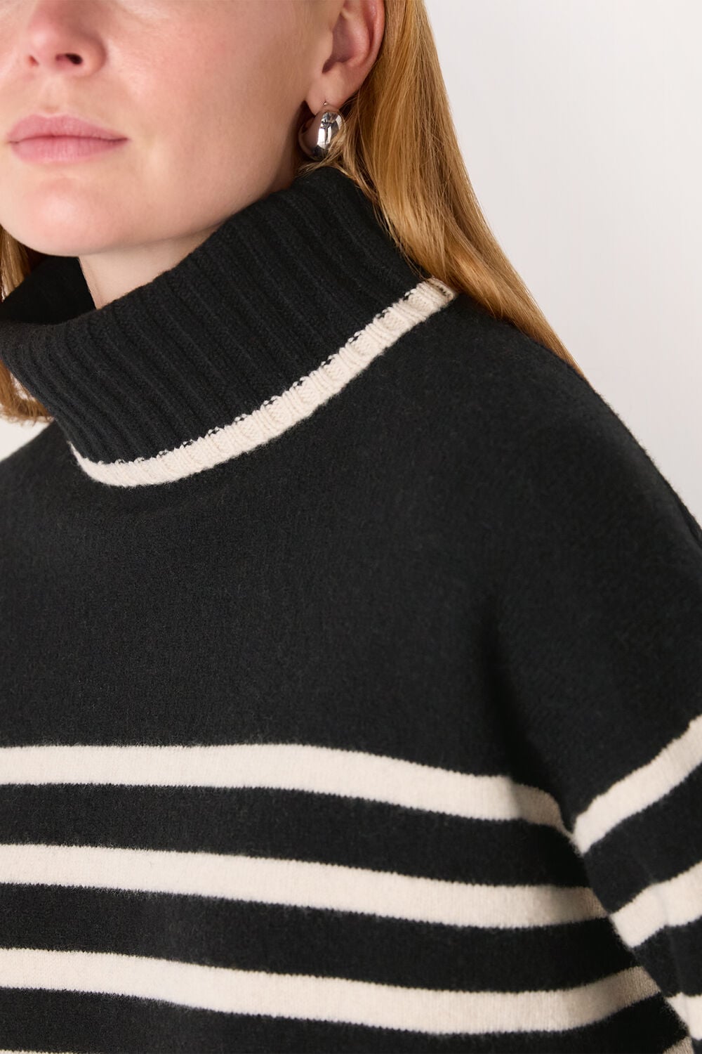 Stripe Wool Roll Neck