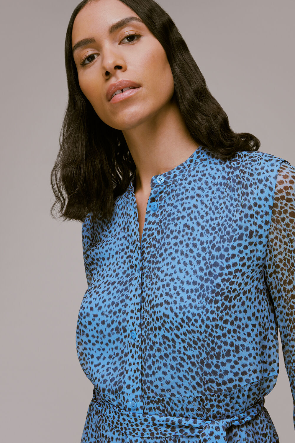 Gradient Animal Print Dress