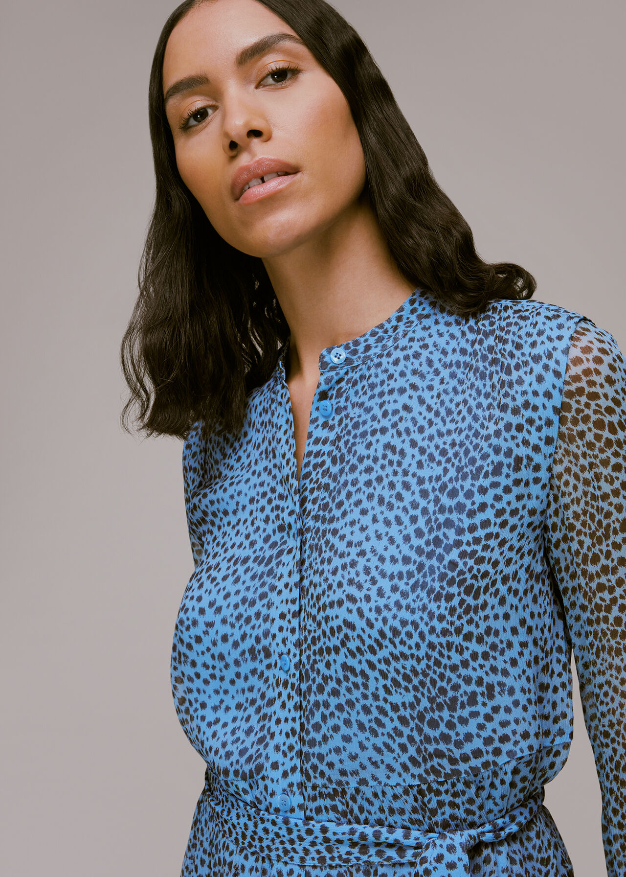 Blue/Multi Gradient Animal Print Dress | WHISTLES |