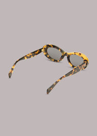 Isle of Eden Franky Sunglasses