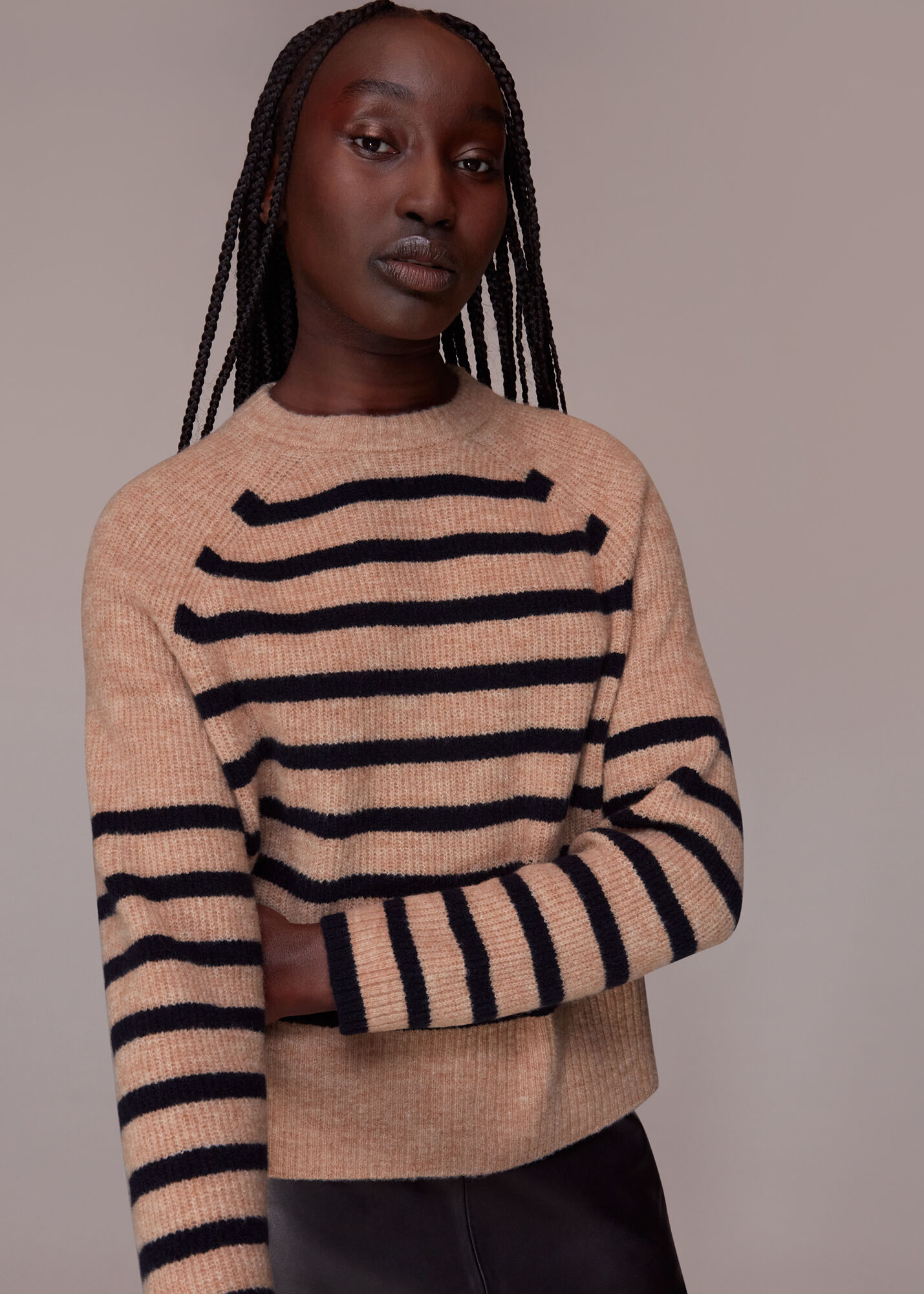 Navy/Multi Eden Stripe Ribbed Jumper WHISTLES Whistles UK