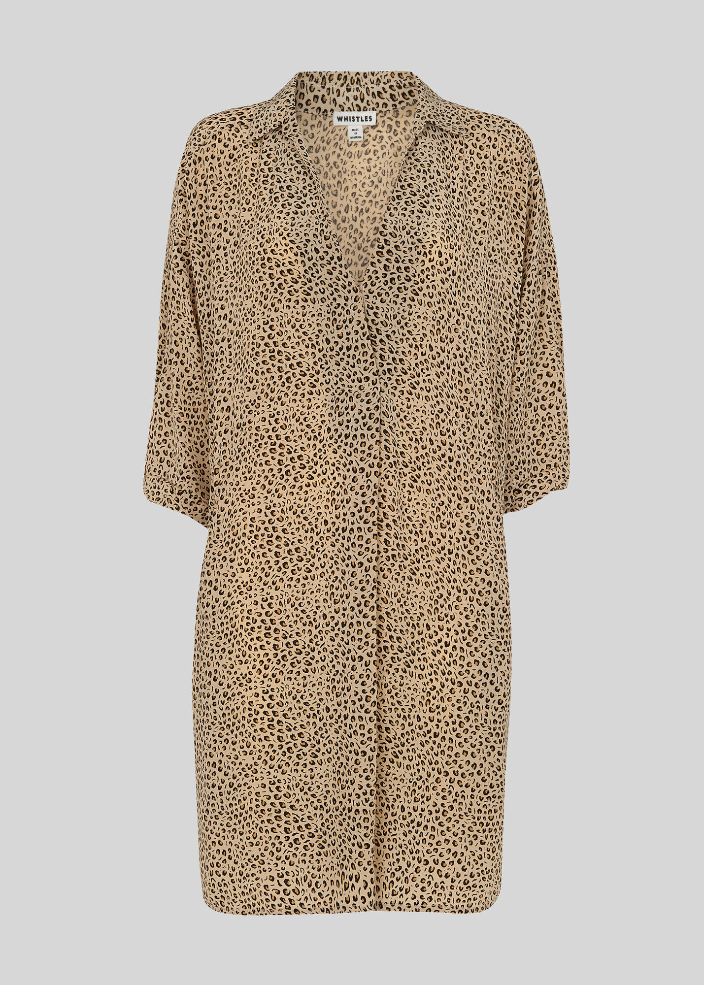 Leopard Print Mini Dress