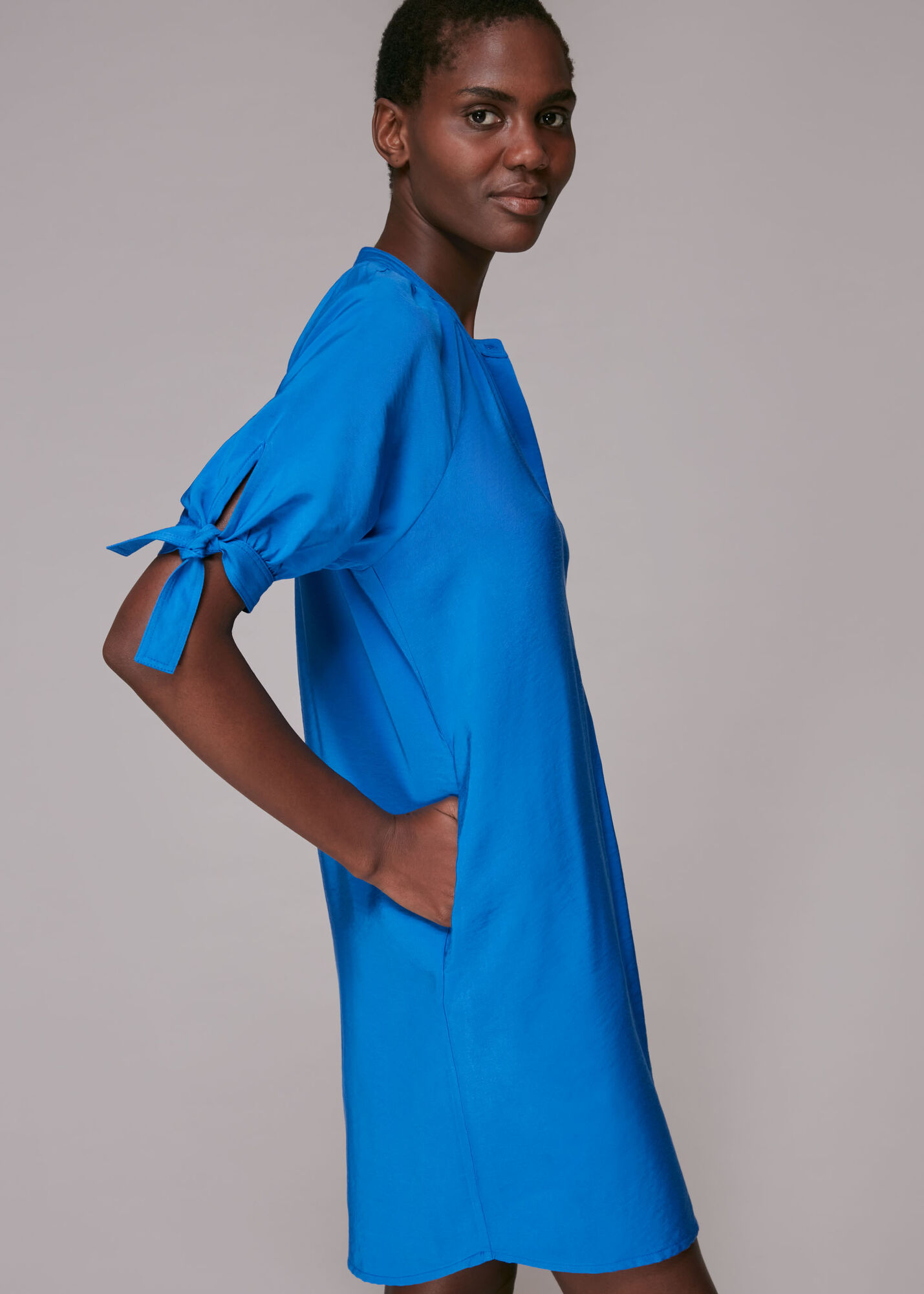 Blue Celestine Dress WHISTLES