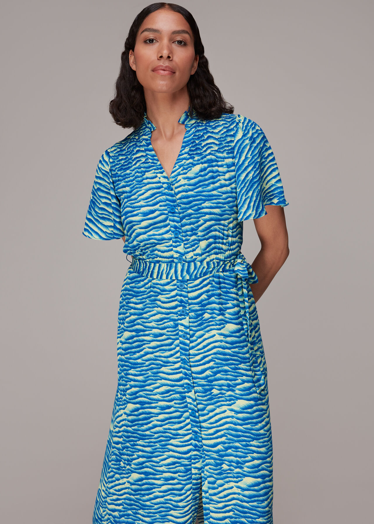 Seafoam Zebra Midi Dress