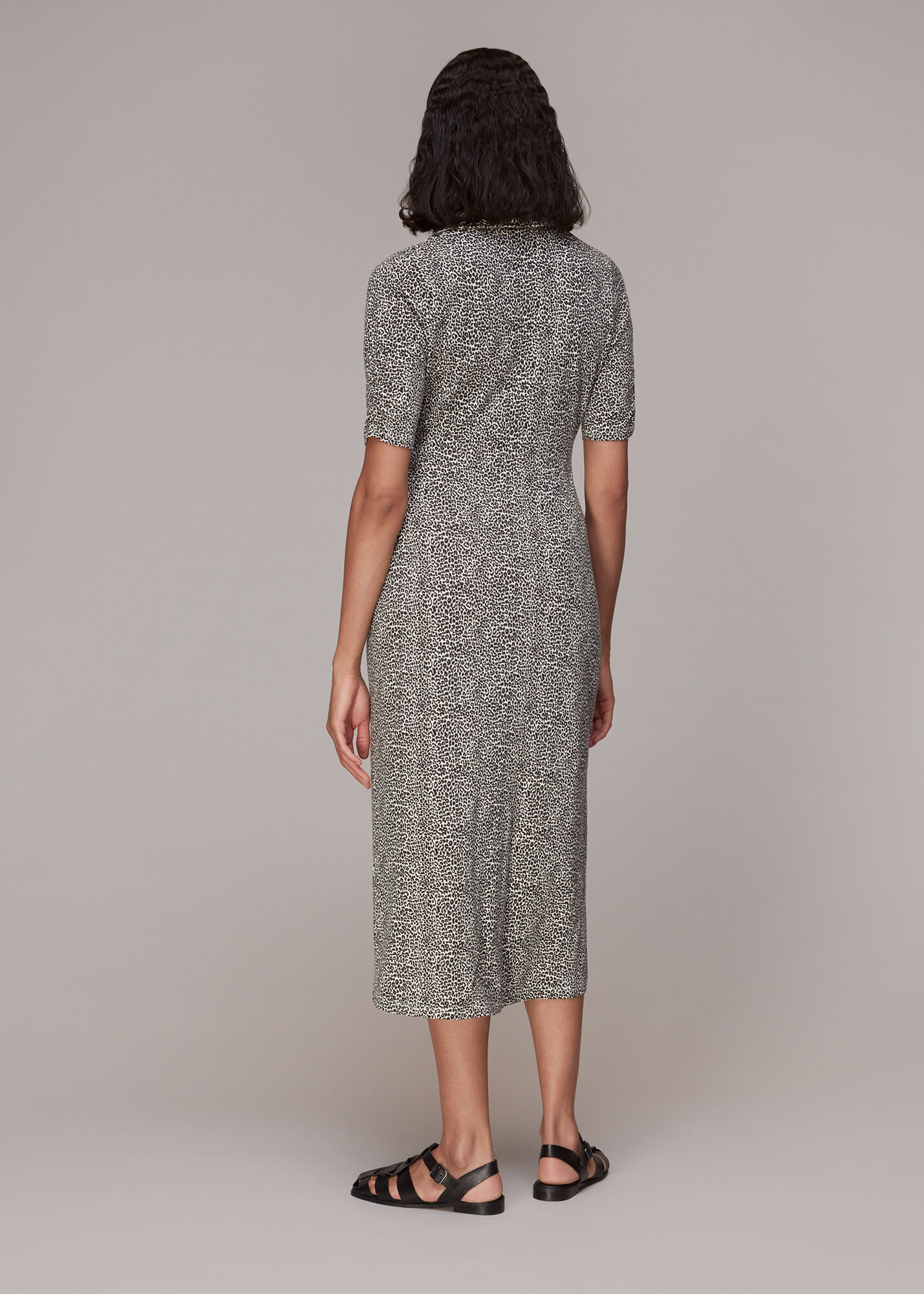 Whistles adrianne cheetah print dress sale