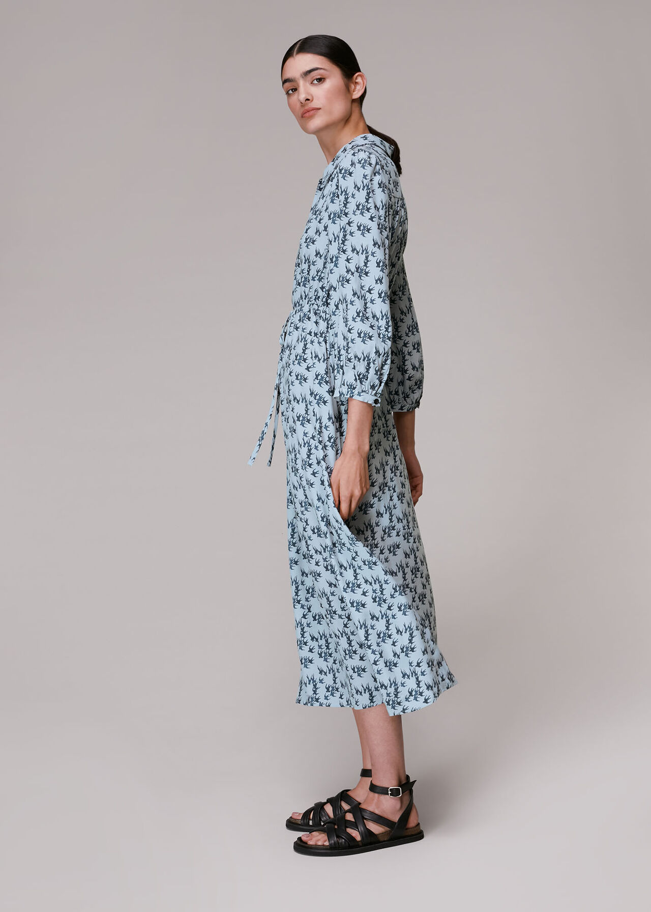 Swallows Print Midi Dress