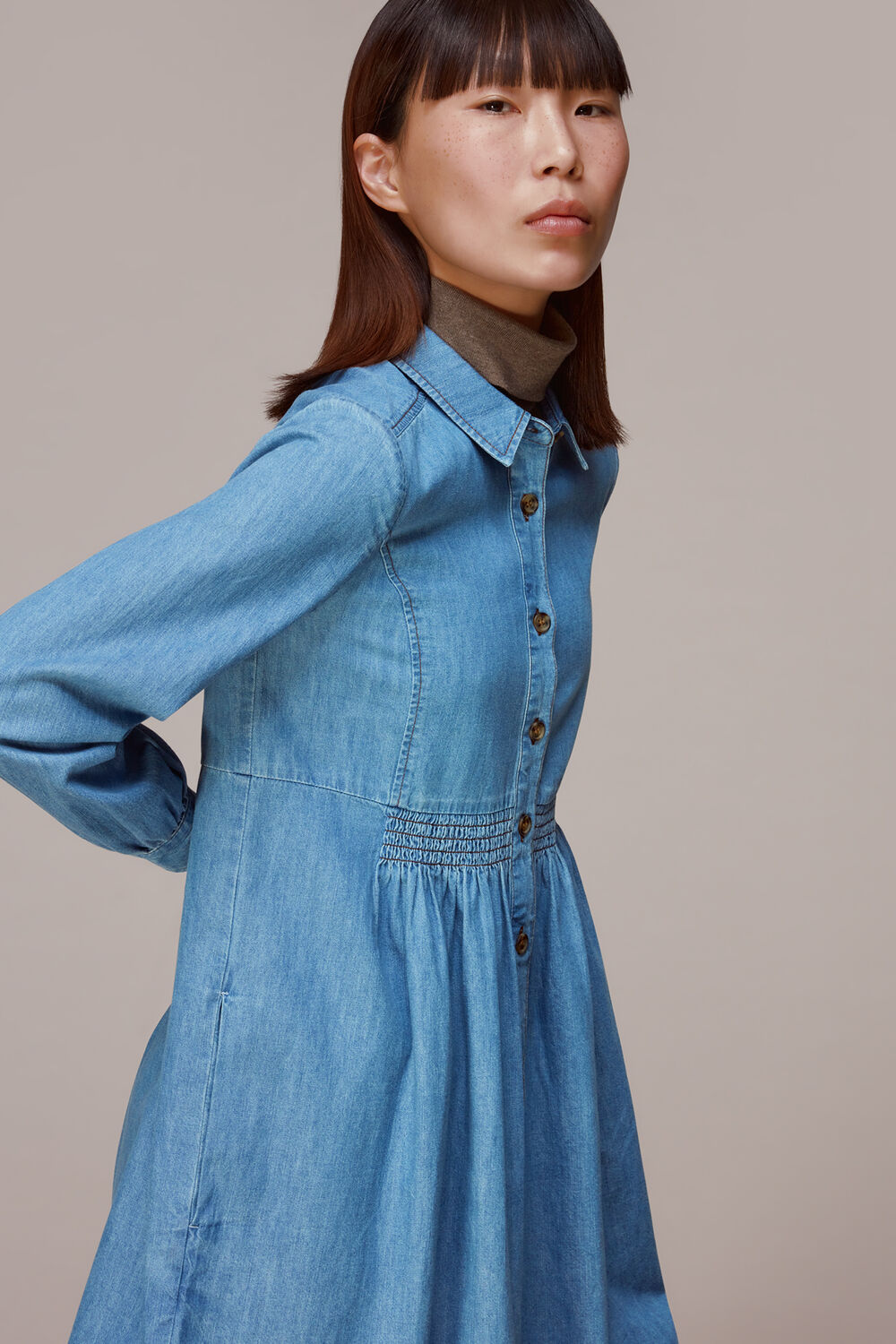 Chambray Dress