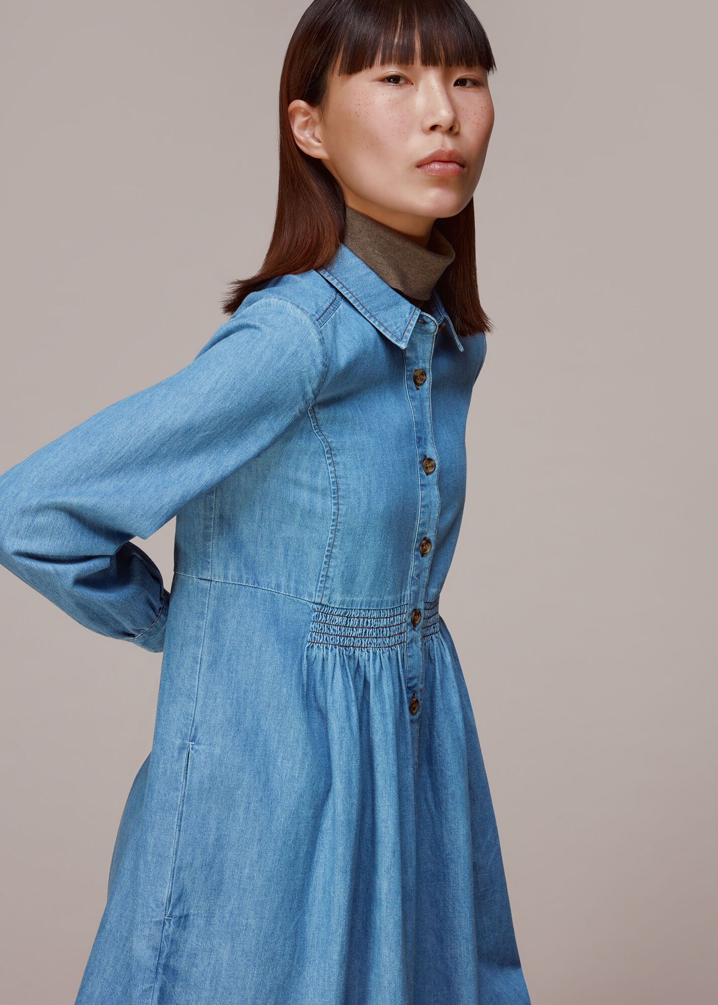 Denim Chambray Dress WHISTLES
