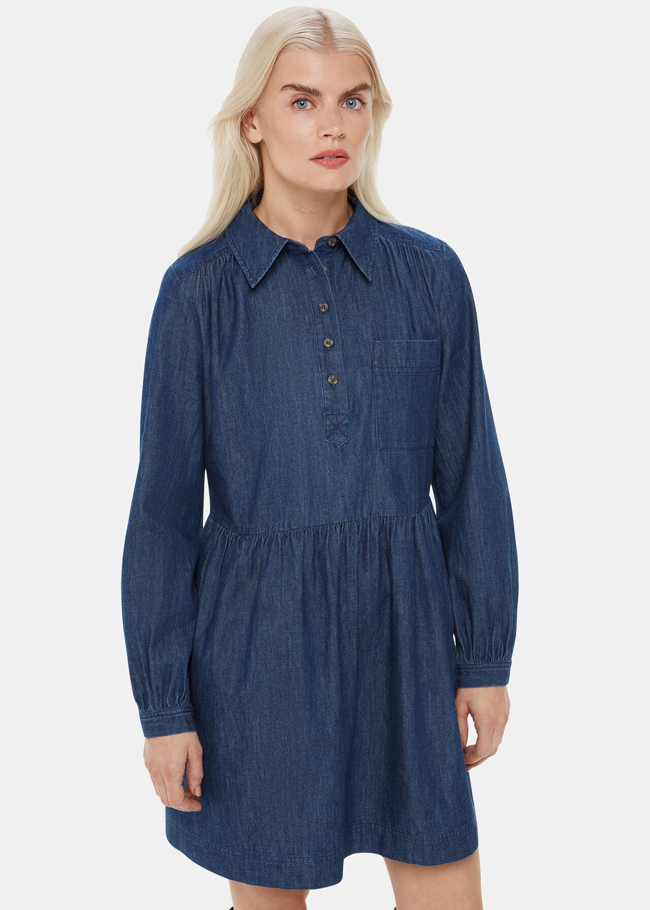 Petite Winnie Chambray Denim Dress