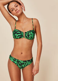 Tiger Animal Bikini Bottom