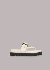 Sutton Toe Post Buckle Sandal