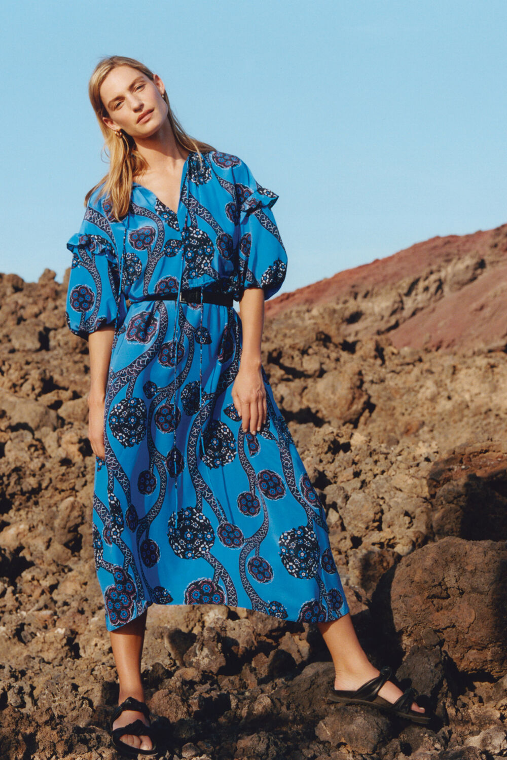 Trailing Seedpod Silk Dress Blue/Multi