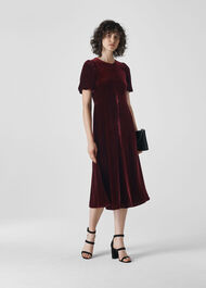 Vilimina Silk Mix Velvet Dress