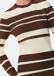 Variegated Stripe Knit Dress