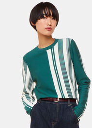 Vertical Stripe Crew Neck Knit
