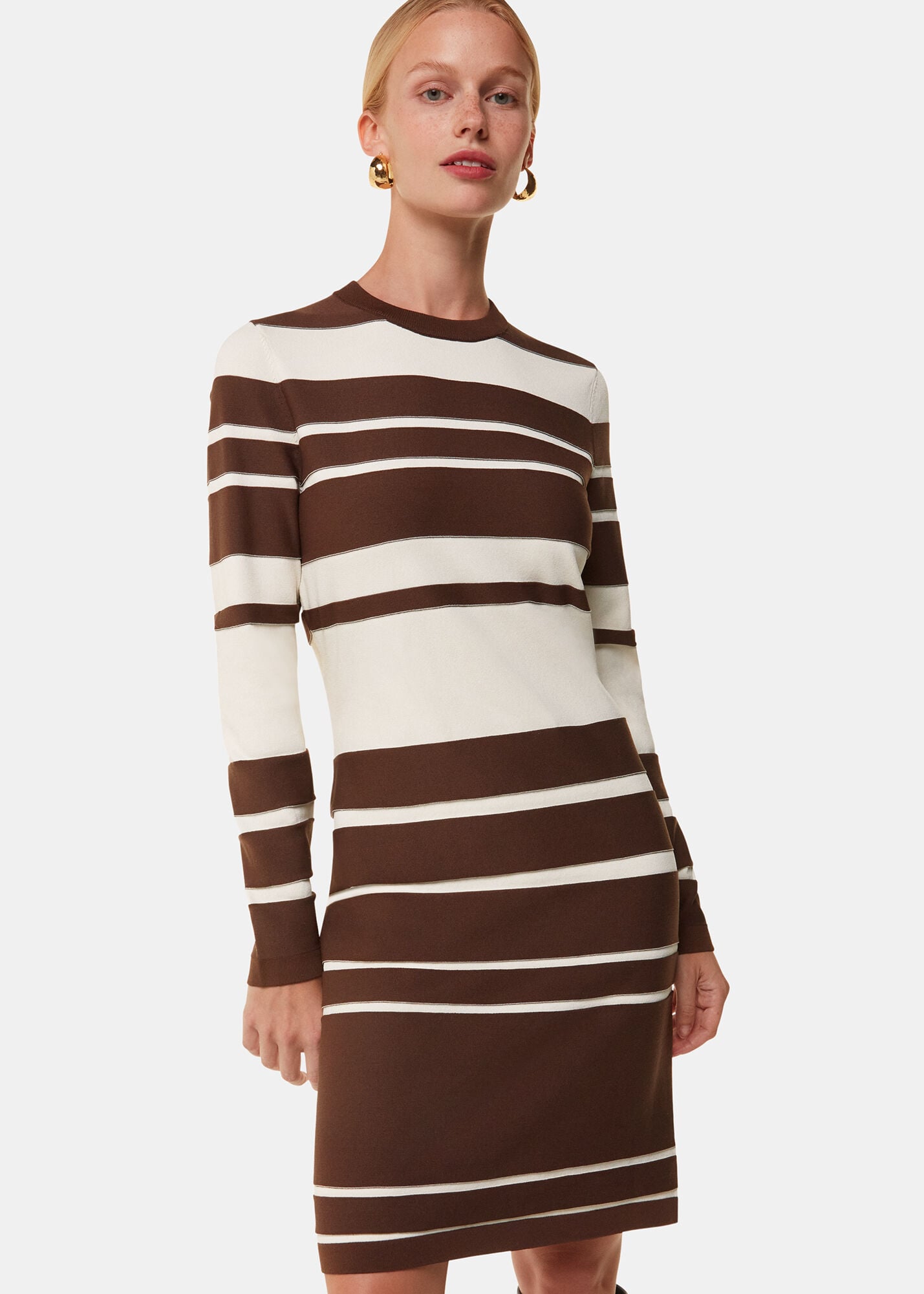 Brown/Multi Variegated Stripe Knit Dress | WHISTLES | Whistles UK |
