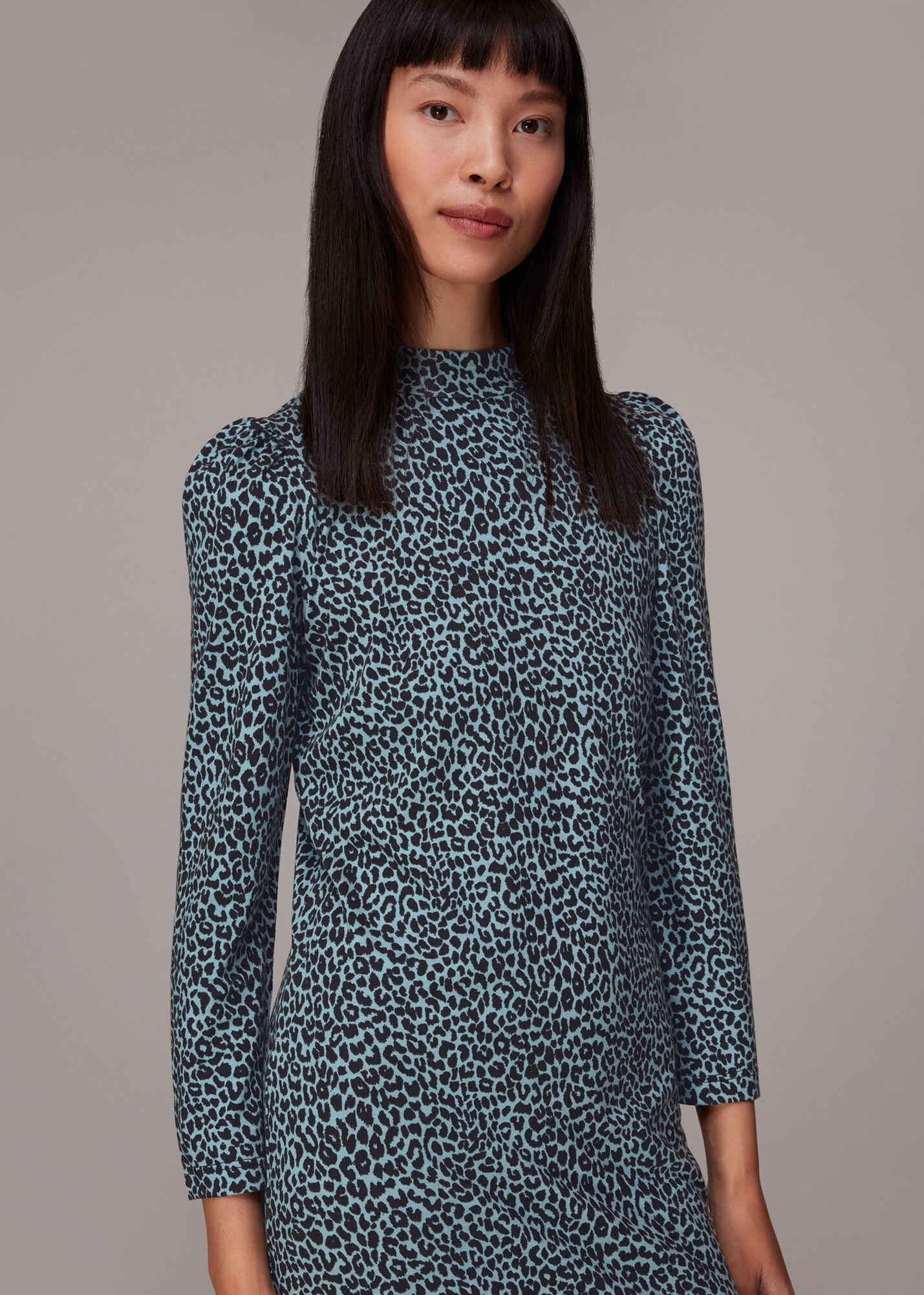 Blue Multi Contrast Leopard Jersey Dress WHISTLES