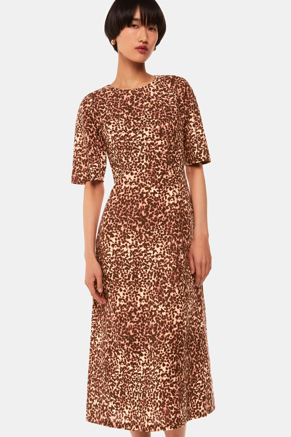 Multicolour animal print short sleeve midi dress