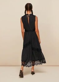 Spot Lace Midi Dress