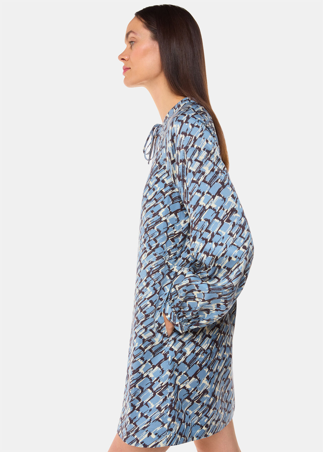 Feathered Wing Marnie Dress
