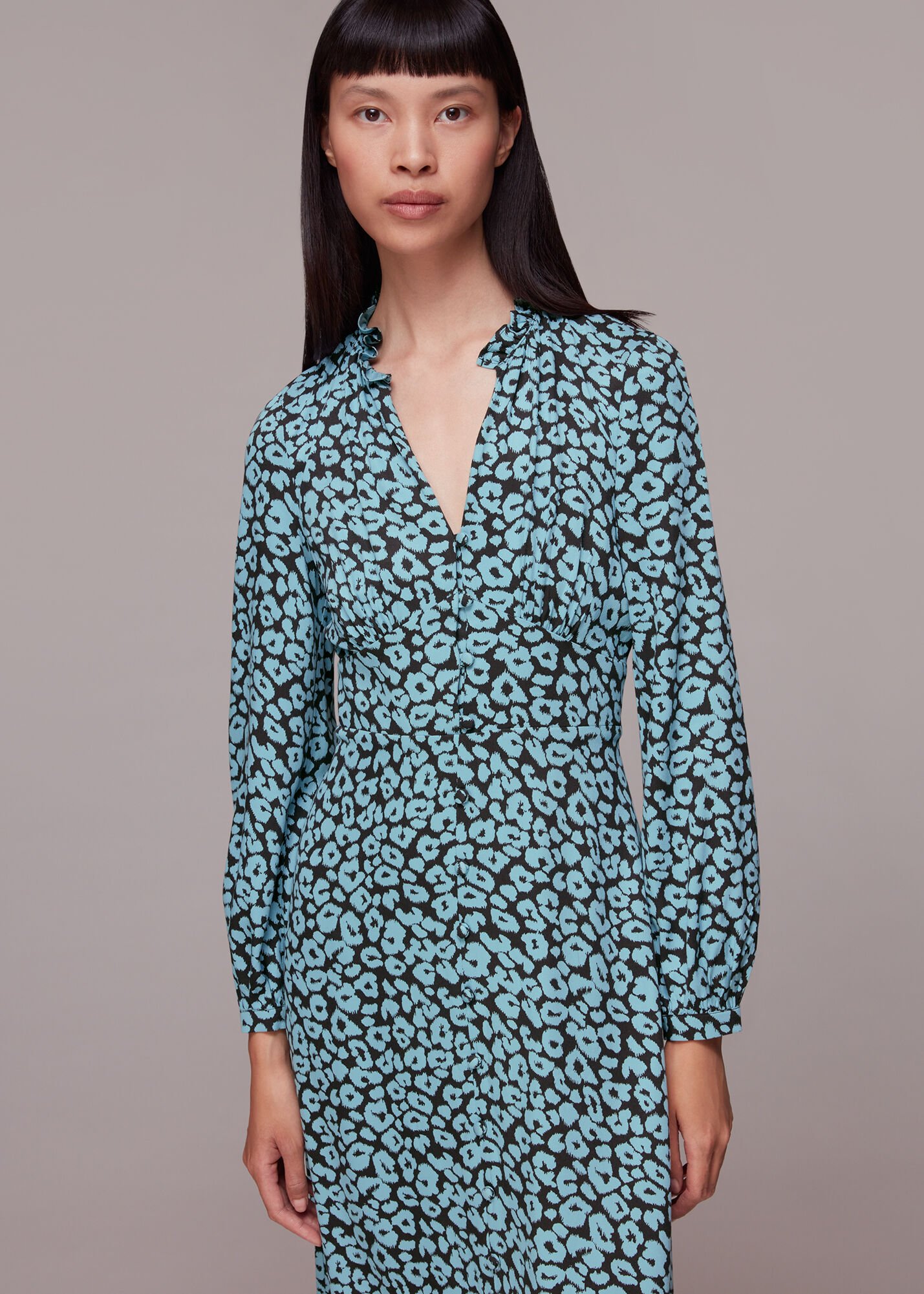 Whistles leopard print dress cheap