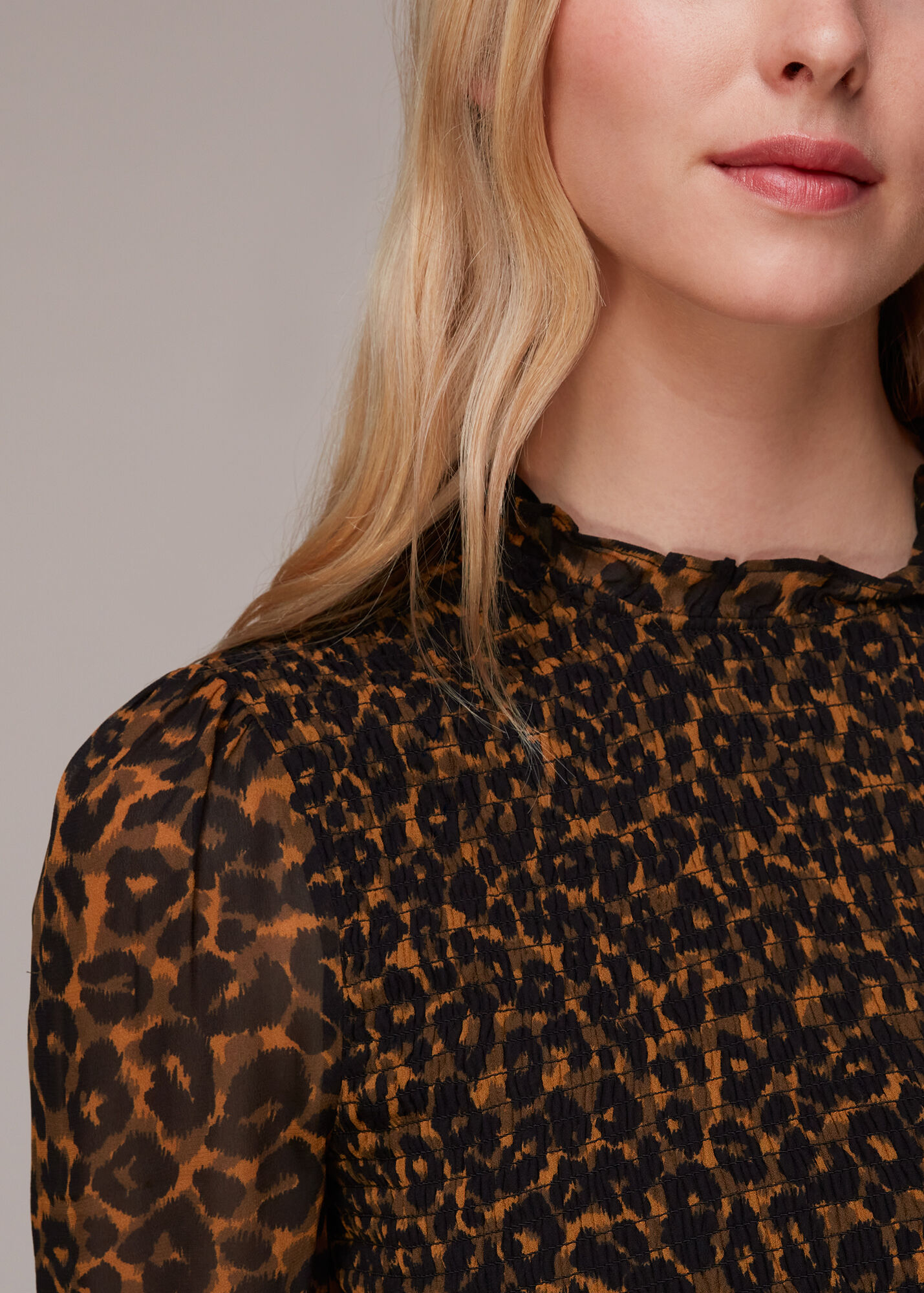 Leopard Print Classic Leopard Shirred Dress WHISTLES